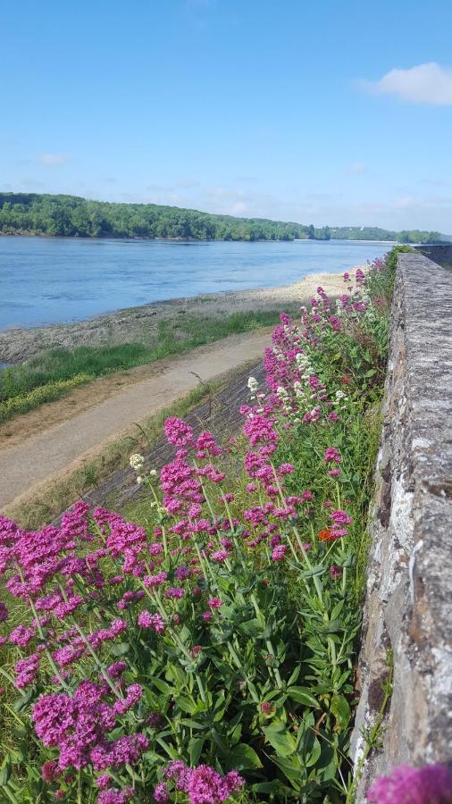 Апартаменты Le Cosy Loire Appart Les Rosiers-sur-Loire Экстерьер фото