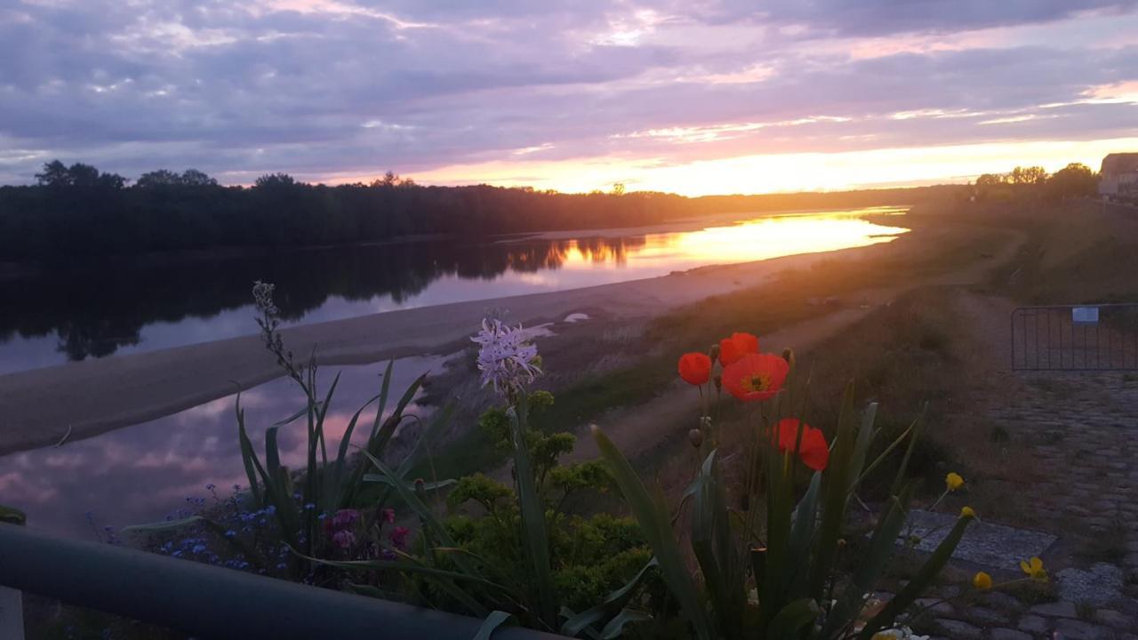 Апартаменты Le Cosy Loire Appart Les Rosiers-sur-Loire Экстерьер фото